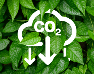Redução Comprovada das Emissões de CO₂